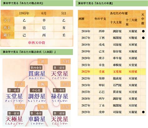 年運表|算命学｜完全無料「人体星図から導く」あなたの性格 